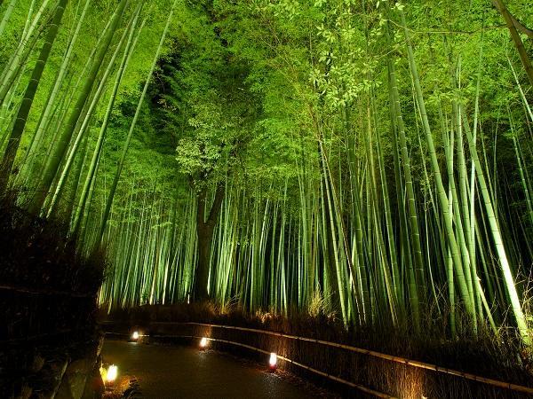 Hotel Excellence Enmachi Ekimae Kyoto Exteriör bild